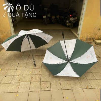 Ô Dù Cán Thẳng Tự Động 1 Chiều Màu Xanh Phối Trắng In Logo OD-19