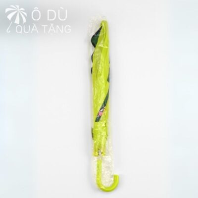 chi tiết đặc điểm Ô Cầm Tay Trẻ Em Hình Khủng Long In Logo OD-47