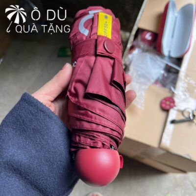 chi tiết Ô Dù Mini Gấp 5 Đóng Mở Thủ Công In Logo OD-39