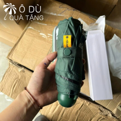 chi tiết Ô Cầm Tay Gấp 5 Tự Đẩy 4 Màu In Logo OD-38